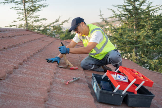 Best Roof Repair Specialists  in South Whitley, IN