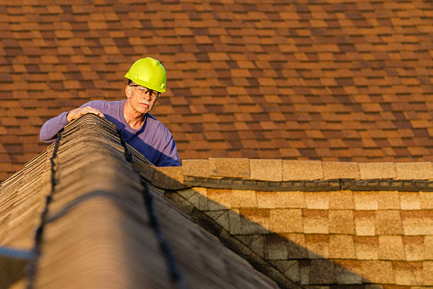 Best Roof Leak Repair  in South Whitley, IN