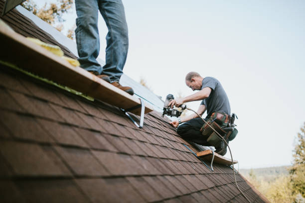 Best Roof Leak Repair  in South Whitley, IN